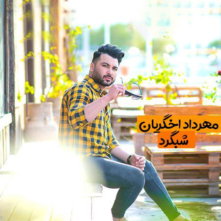مهرداد اخگریان شبگرد